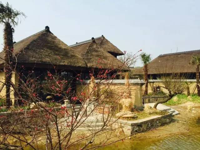 永利集团·yl(中国游)官方网站